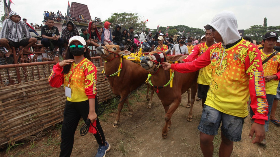 2022/10/16/antarafoto-lomba-karapan-sapi-piala-presiden-161022-ds-2_ratio-16x9.jpg