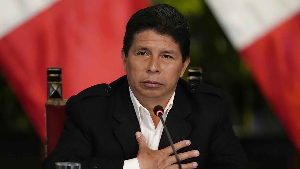 Profil Pedro Castillo: Berawal Jadi Guru, Hingga Presiden Peru