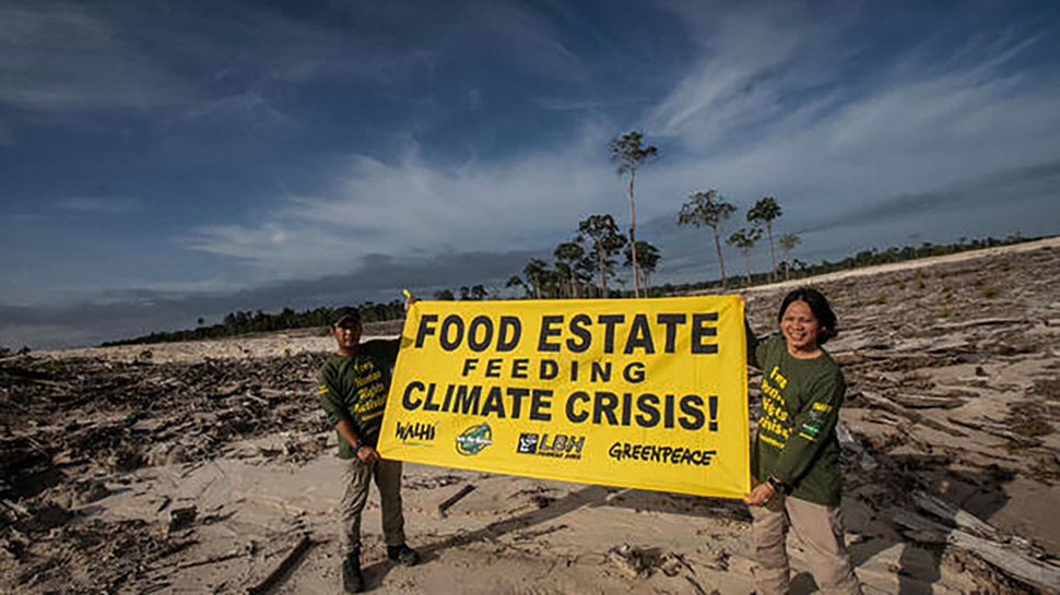 Aktivis Lingkungan: Food Estate Justru Perparah Krisis Iklim