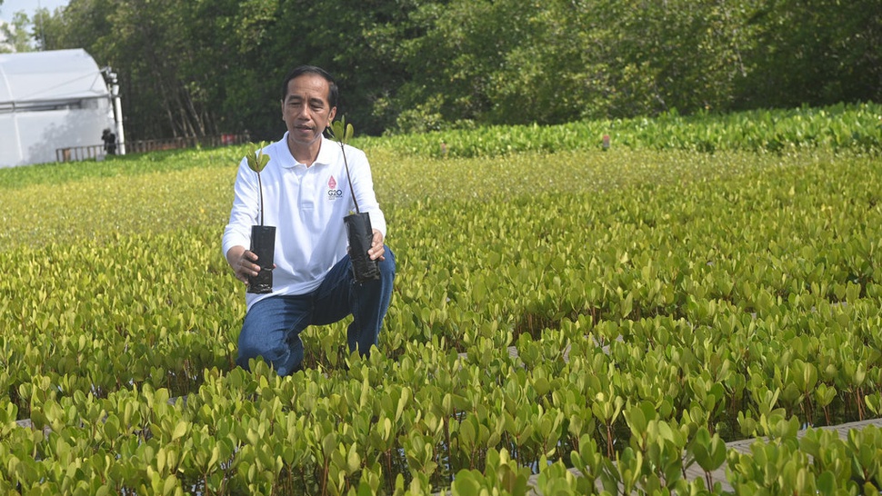 Jokowi Manut Aturan UU soal Masa Jabatan Kepala Desa