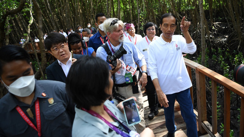 Jadwal Penanaman Bakau Mundur, Jokowi Ajak Media Keliling Tahura