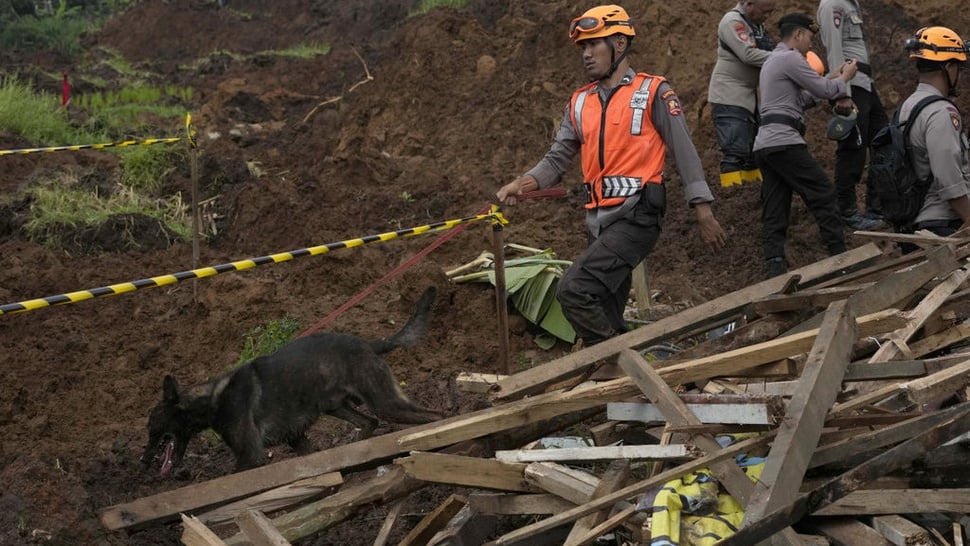 BNPB Sarankan Pencarian Korban Gempa Cianjur Diperpanjang 3 Hari