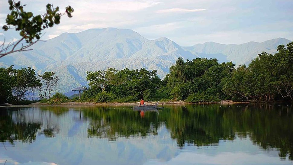 Profil Provinsi Papua Barat: Sejarah, Wilayah, & Potensi Alam