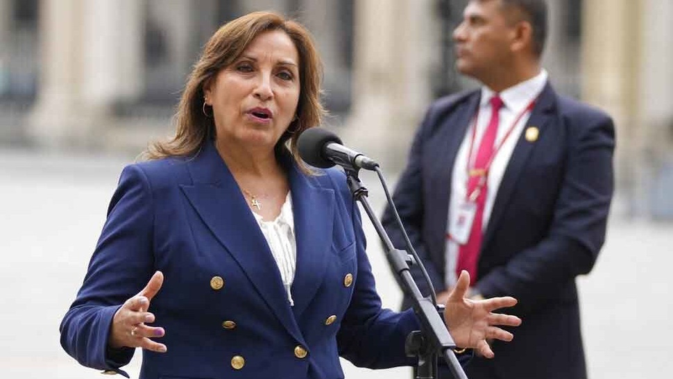 Profil Dina Boluarte, Presiden Peru Pengganti Pedro Castillo