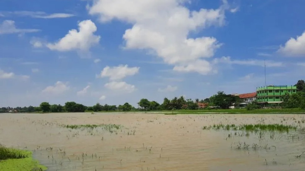 30 Hektare Lahan Persawahan di Aceh Besar Terendam Banjir