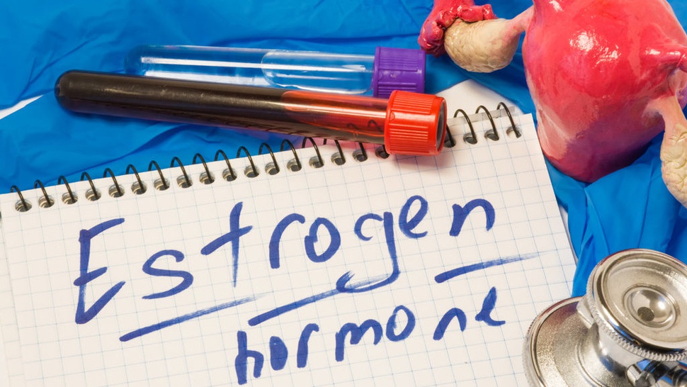 Cara Meningkatkan Hormon Estrogen pada Perempuan & Apa Fungsinya