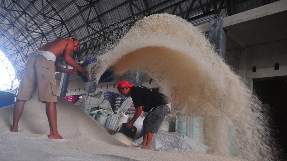 Bulog Didesak Lebih Serius Serap Gabah Petani Lokal