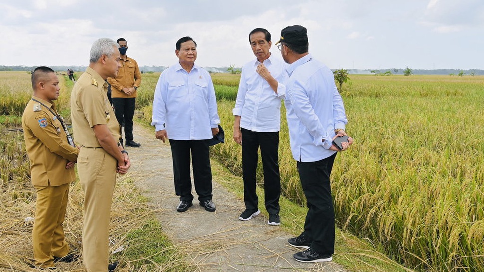 Jokowi Pertanyakan Harga Beras Tinggi Ketika Petani Panen Raya