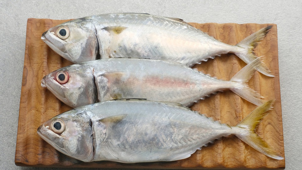 7 Manfaat Sering Makan Ikan Kembung yang Kaya Omega-3