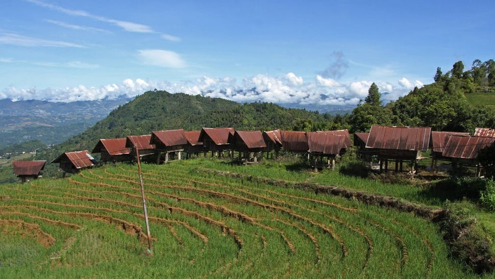 Contoh Desa Swadaya, Swakarya, dan Swasembada di Indonesia