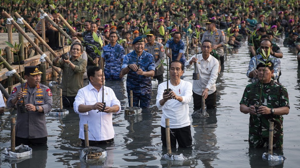 Cegah Kenaikan Air Laut, Heru & Jokowi Tanam Bakau di TWA Angke