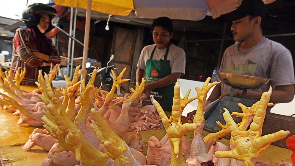 Update Harga Pangan 31 Mei 2023: Beras - Daging Ayam Masih Mahal