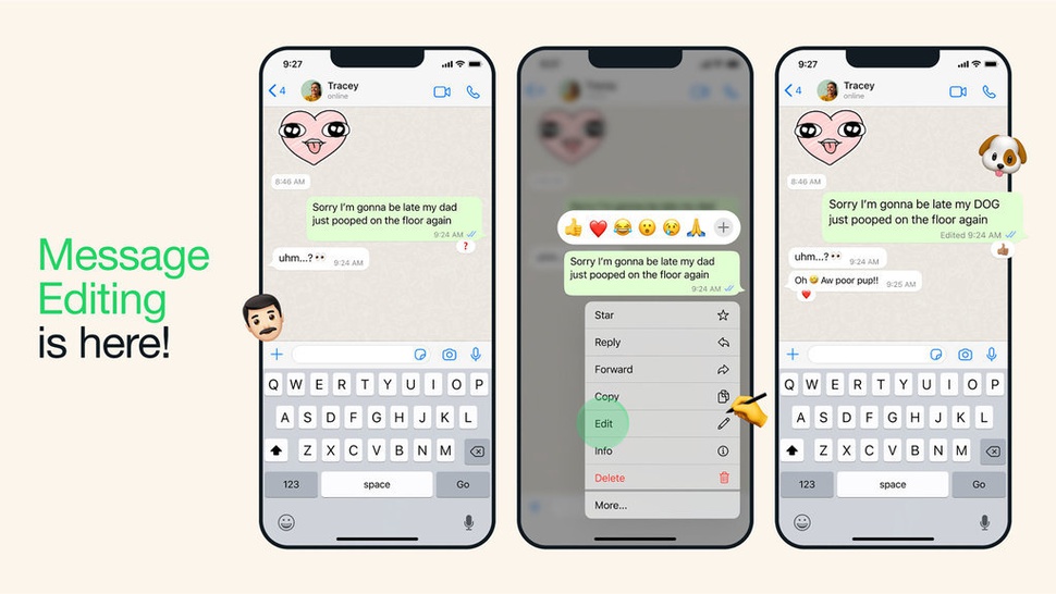 Cara Menggunakan Fitur Baru WA Edit Pesan WhatsApp Terkirim
