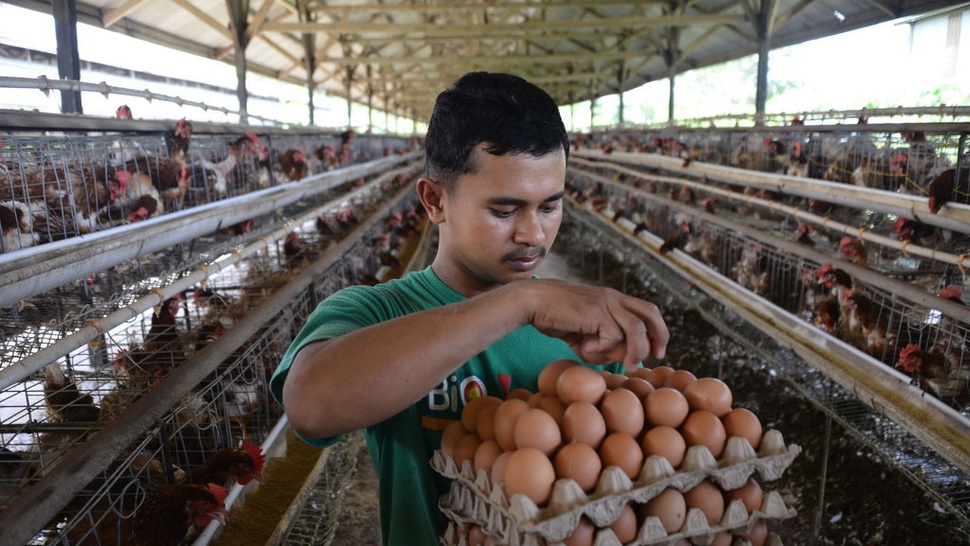 Update Harga Pangan 19 Juni 2023: Telur Ayam - Daging Sapi Turun