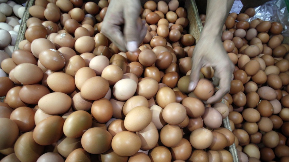 Update Harga Pangan: Telur Ayam Tembus Rp28.330 per Kg