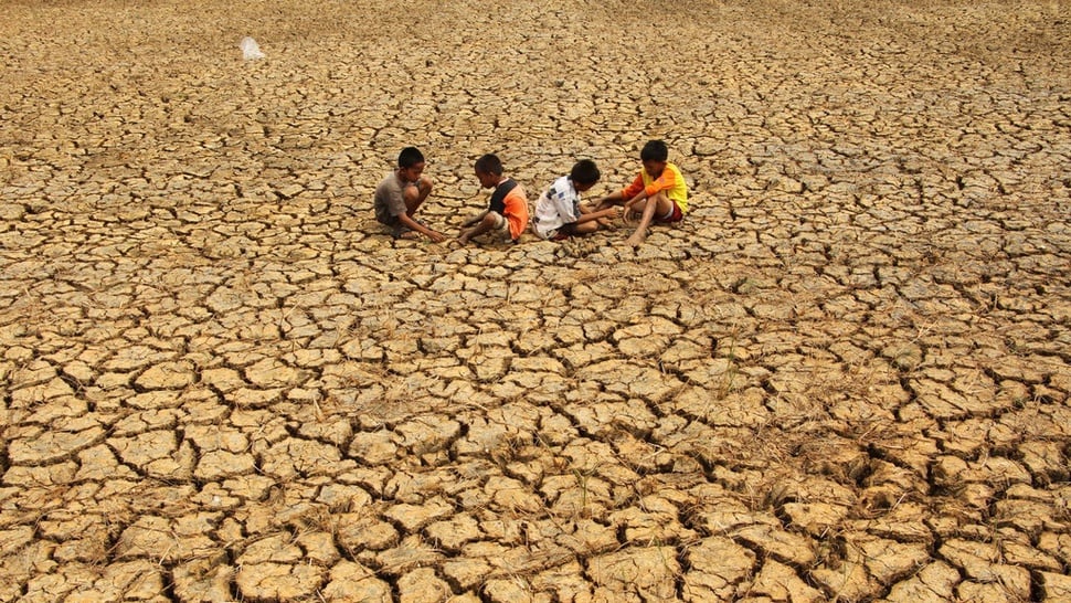 Melihat Potensi Indonesia Alami Krisis Pangan Jelang El Nino