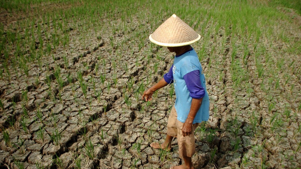 9 Kabupaten di Jawa Tengah Rawan Kekeringan Terdampak El Nino