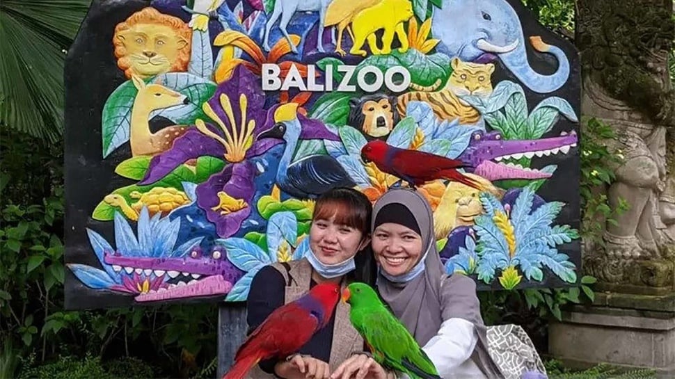 Harga Tiket Bali Zoo Terbaru 2023 untuk Liburan Bersama Keluarga