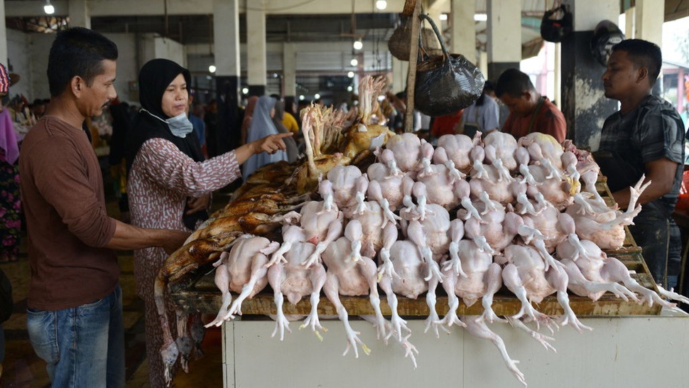 Harga Ayam Tembus Rp50.000, Bapanas: Wajar karena Ayam Filet