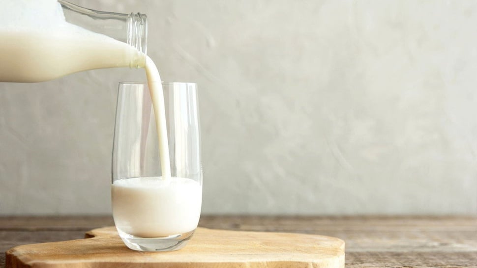 12 Rekomendasi Susu Protein untuk Wanita dan Pria