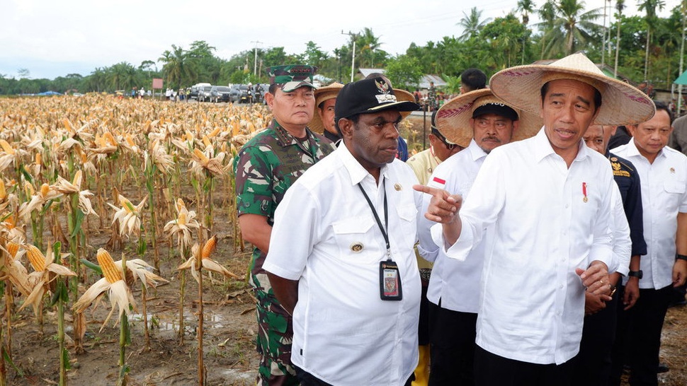 Jokowi Lanjutkan Proyek Food Estate, meski Dikritik Sering Gagal