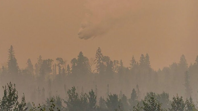Darurat! Apa Penyebab Kebakaran Hutan di Kanada? Ini Dampaknya