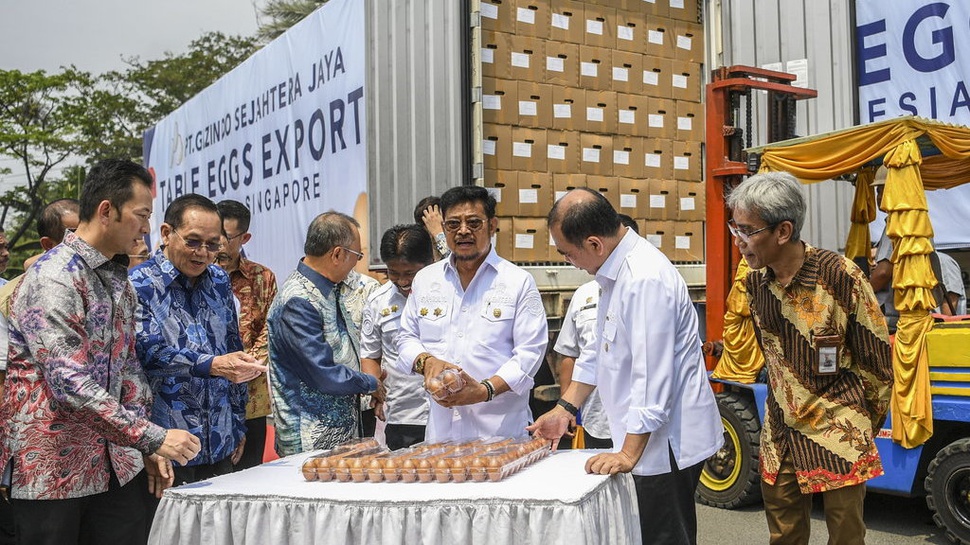 Indonesia Ekspor Telur ke Singapura: Stok Dalam Negeri Aman