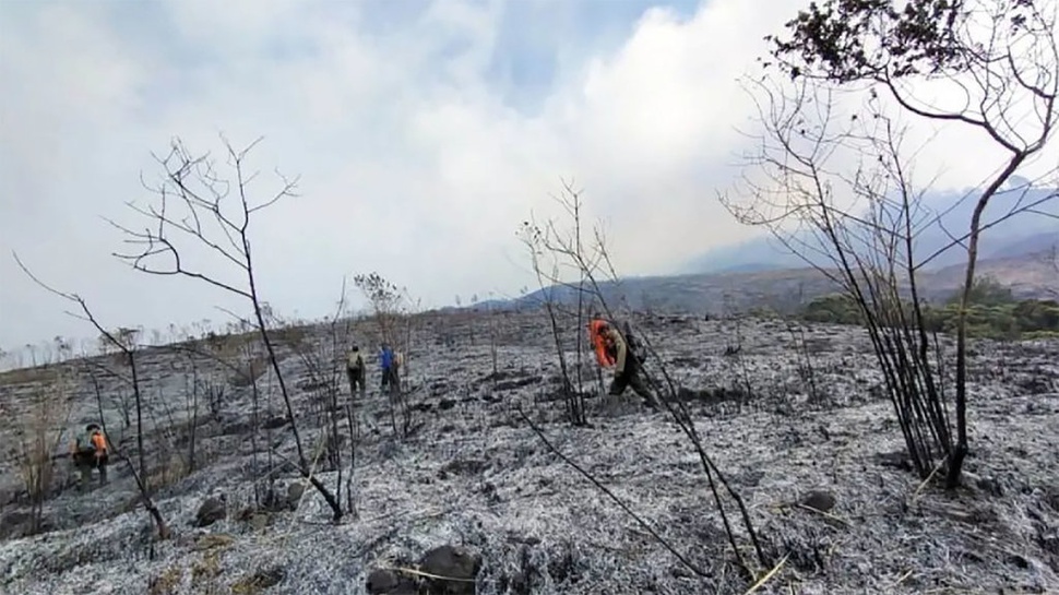 Polisi Identifikasi Pemburu Liar Pemicu Kebakaran Gunung Arjuno