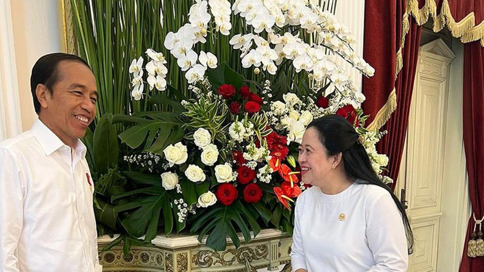 Puan Maharani Temui Jokowi di Istana: Ngobrol Seru Berbagai Hal