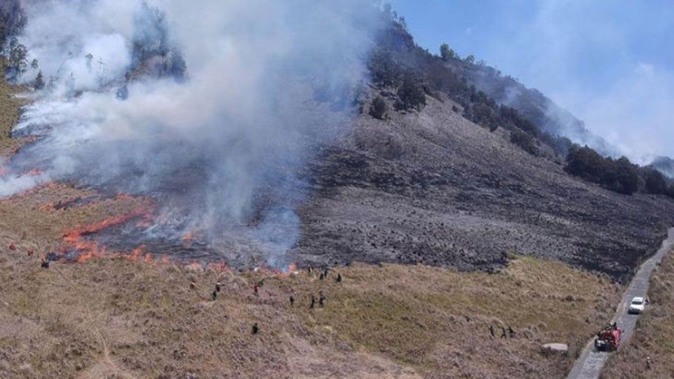 Fakta Penyebab Bukit Teletubbies Gunung Bromo Kebakaran Lagi