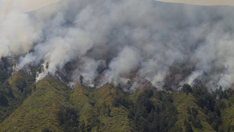 Kondisi Bromo Terkini Akibat Flare, Ratusan Hektar Terbakar