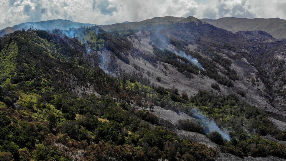 2023/09/14/antarafoto-kawasan-hutan-dan-lahan-gunung-bromo-kembali-terbakar-120923-mm-3.jpg