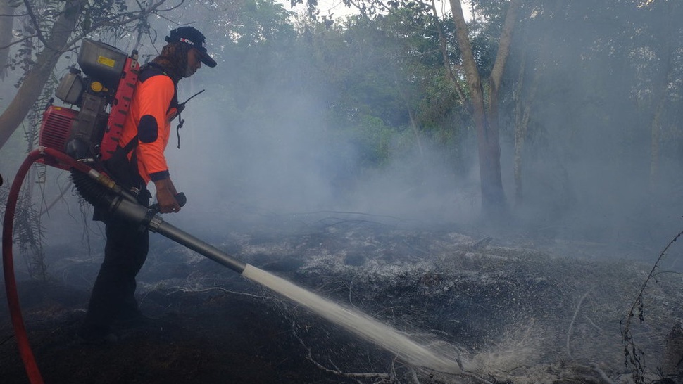 Daftar Kebakaran Hutan di Kalimantan & Sumatera Selama September