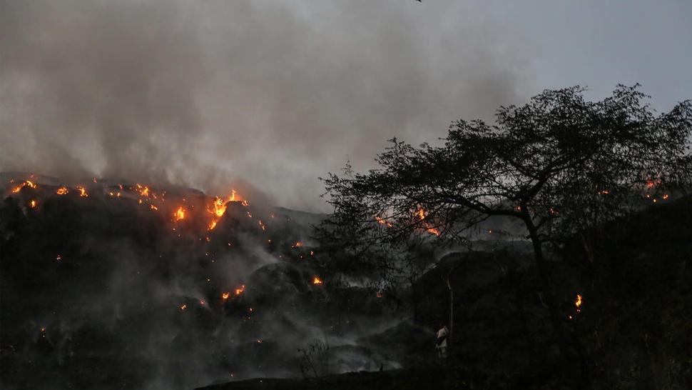 Kebakaran Hanguskan Kandang & Sapi di TPA Jatibarang Semarang