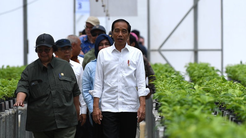 Jokowi Resmikan Persemaian Mentawir Berkapasitas 15 Juta Bibit