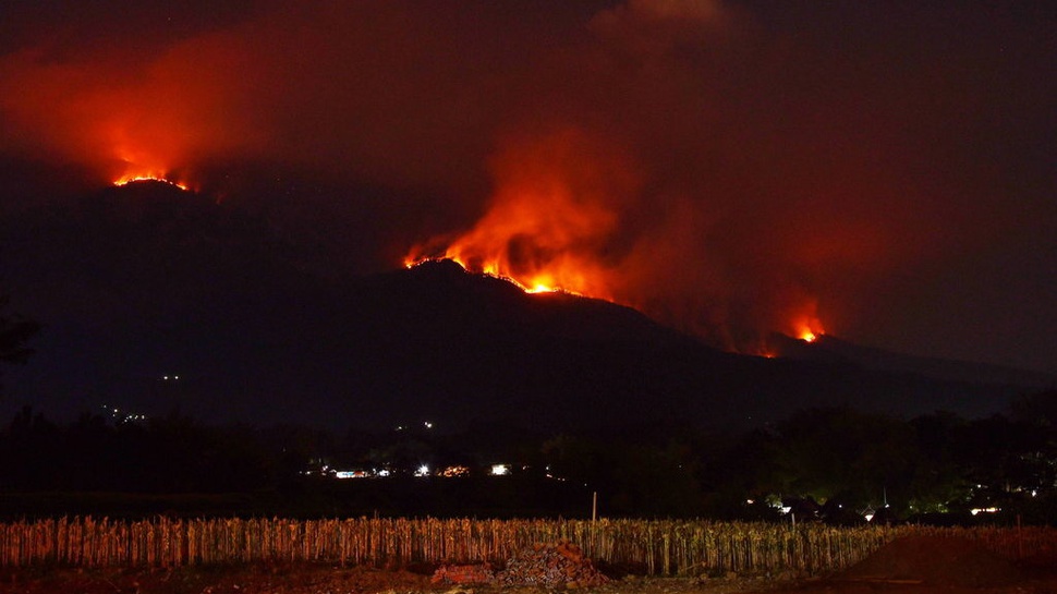 Update Kebakaran Gunung Lawu Hari Ini dan Situasi Terkininya