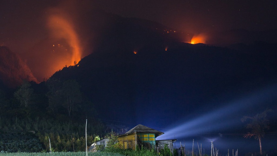 BNPB Sebut Kebakaran Hutan Terjadi Lagi di Gunung Lawu