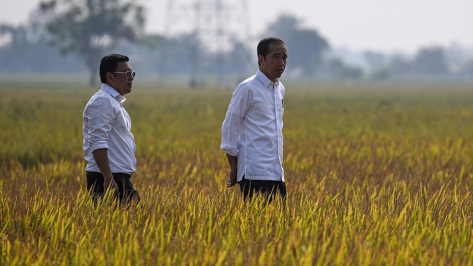 Plt Mentan Ungkap Jokowi Ingin Kawasan Pertanian Terintegrasi