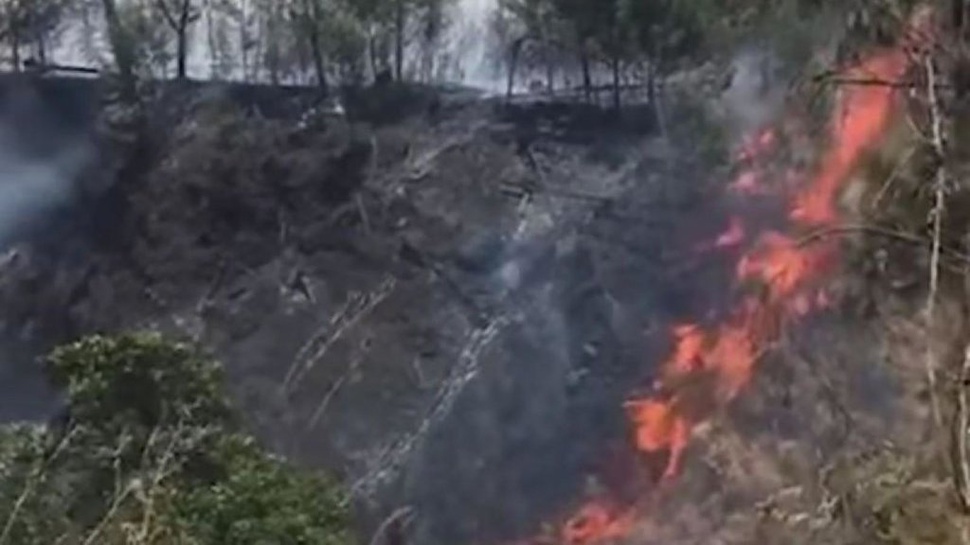 BNPB: Kebakaran Landa 95 Hektare Lahan di Gunung Rinjani