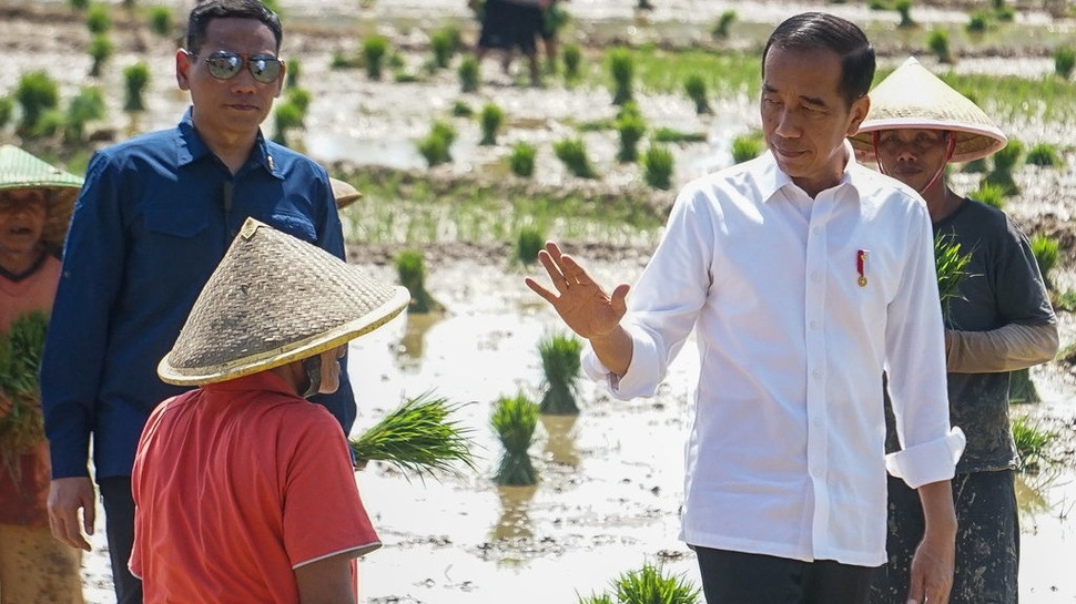 Jokowi Cerita Awal Mula Bantuan Ganti Rugi ke Petani Gagal Panen