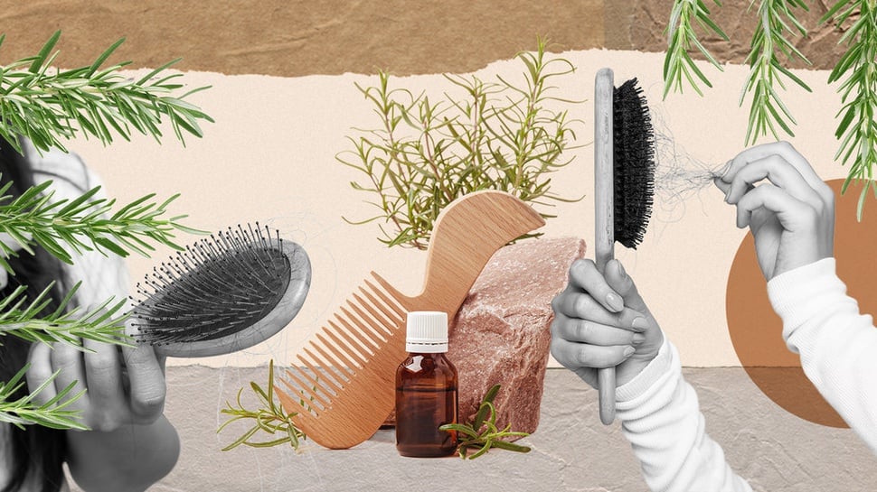 Apa Iya, Minyak Rosemary Efektif untuk Pertumbuhan Rambut?