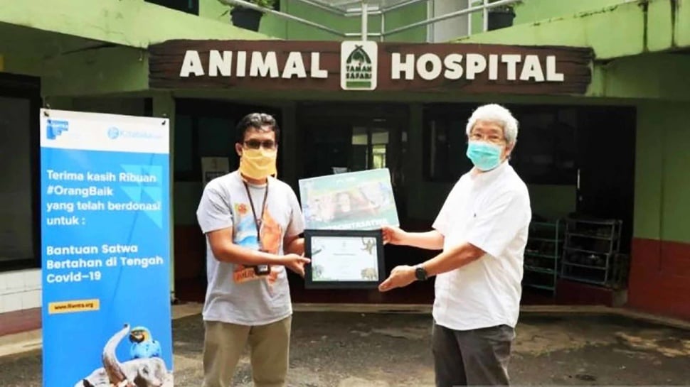 Medan Zoo Dapat Bantuan Pakan Rp3 Juta per Hari dari Asosiasi