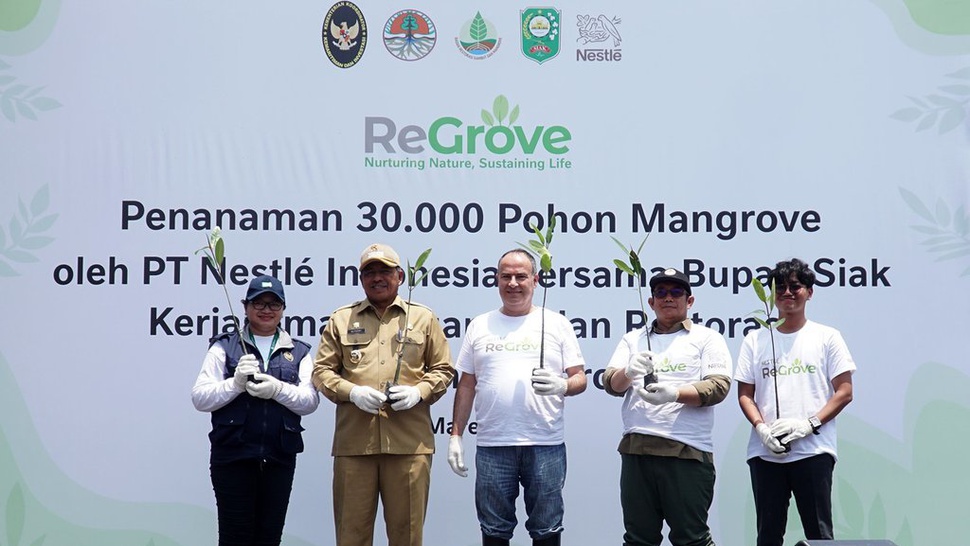 Nestle Indonesia dan BRGM Rehabilitasi Mangrove di Wilayah Riau
