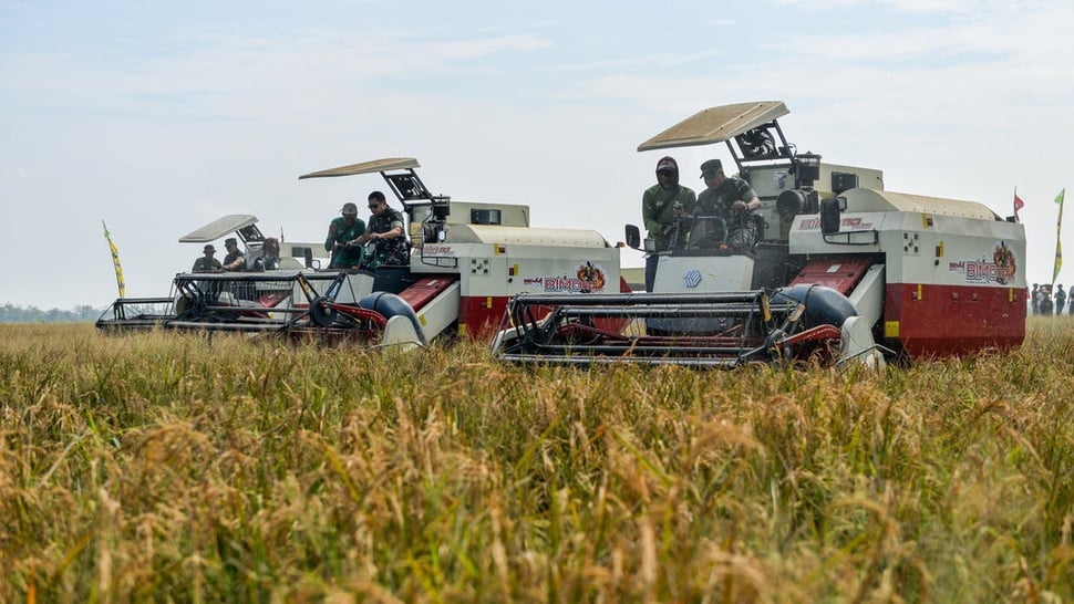 Jokowi Minta Pemda Tak Terlalu Banyak Riset Pertanian