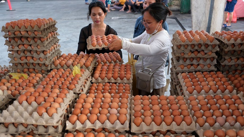 Harga Telur di Surabaya Rp24 Ribu per Kg, Jokowi: Terlalu Rendah