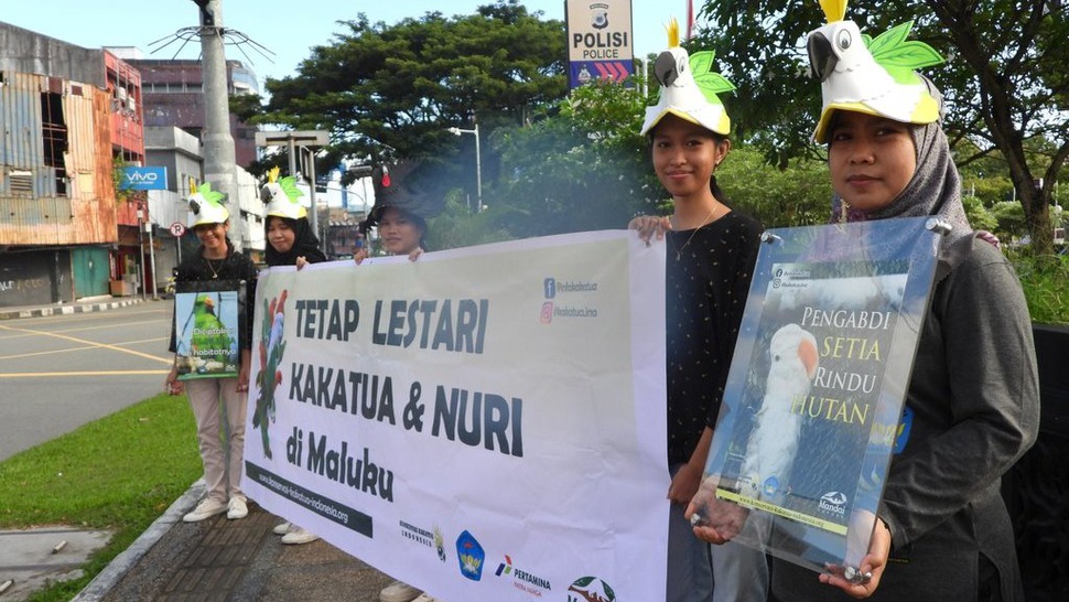 Di World Parrot Day, KKI: Setop Perdagangan Satwa Endemik Maluku
