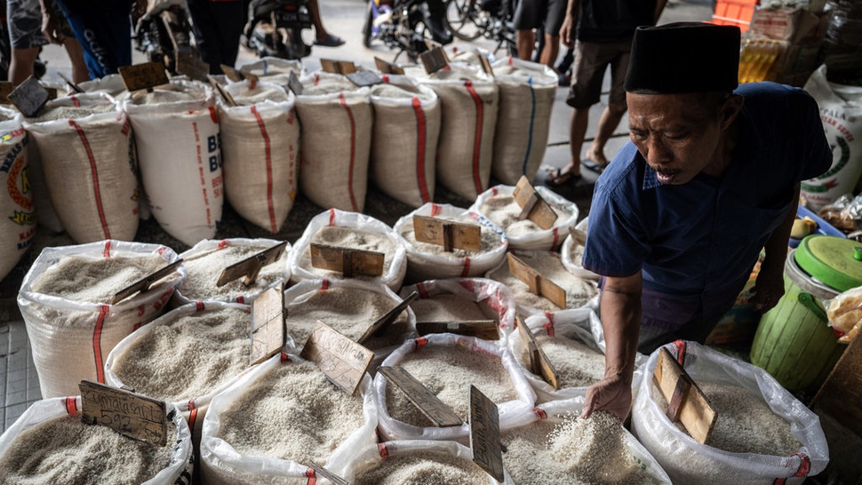 Beras Mulai Mahal, Bulog Singgung Harga Gabah Sudah Tinggi