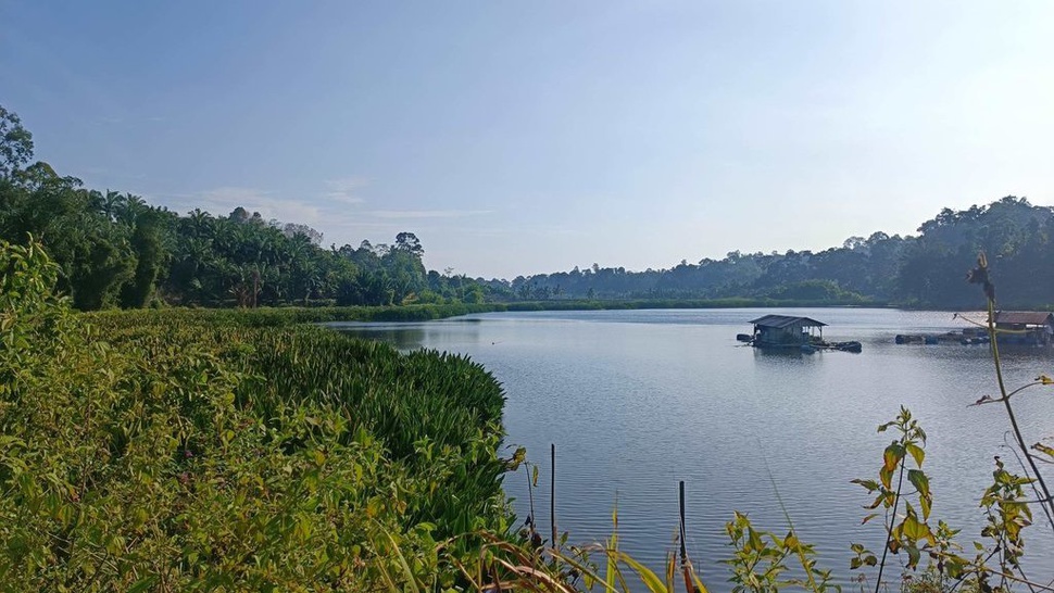Menjaga Ulu Tulung Danau Kuranding, Sumber Air Bengkulu Selatan