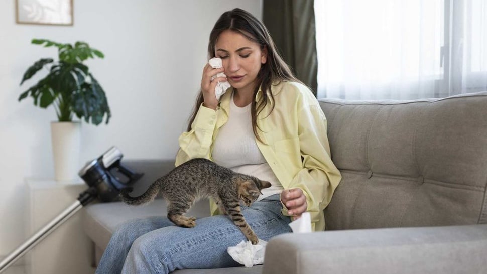 9 Penyebab Kucing Suka Memijat Manusia, Apakah Itu Normal?