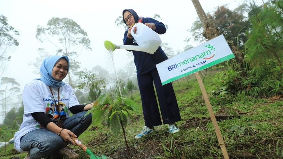 Berbagai Program BRI untuk Mendukung Net Zero Emission di 2050